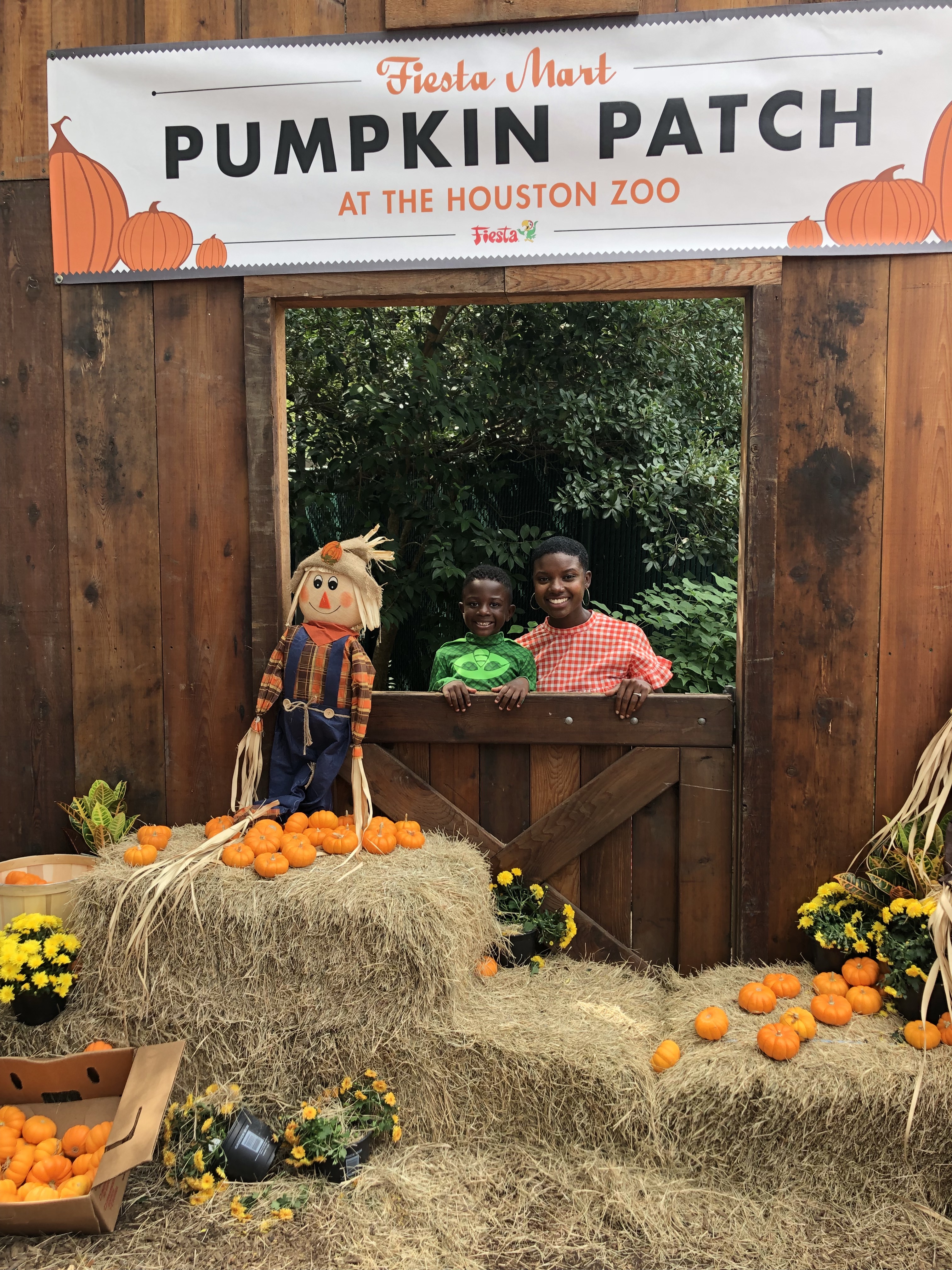 halloween, pumpkin patch, zoo boo Houston