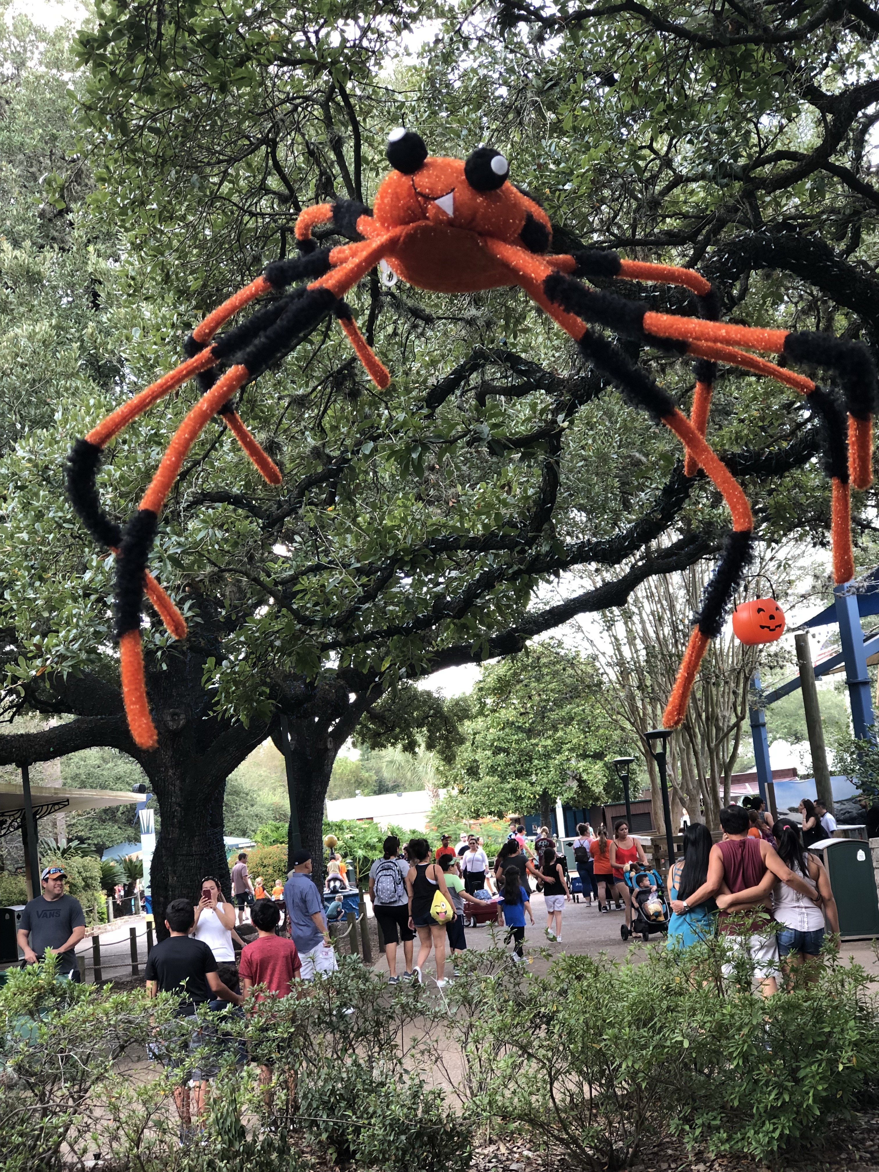 halloween, pumpkin patch, zoo boo Houston